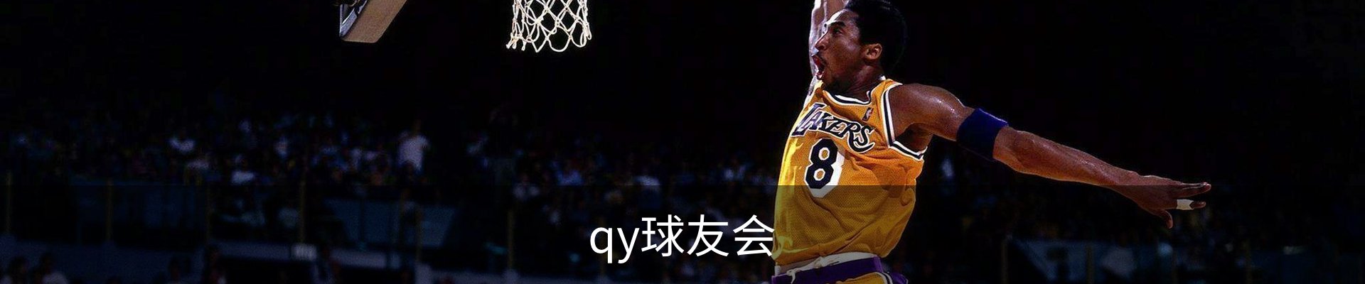 qy球友会